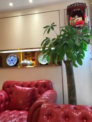 -茜尔维亚修身连锁(杨浦五角场店)