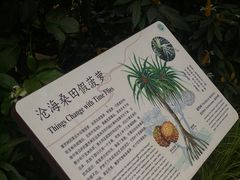 -昆明植物园