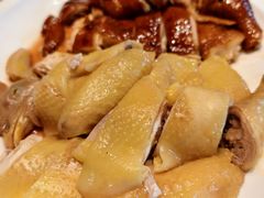 -侨美·唐荔园·40年地道粤菜