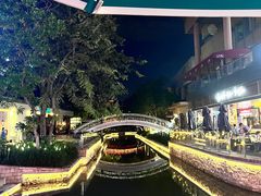 -若蘭慈·无国界素食料理(欢乐海岸店)