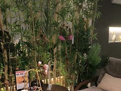 -施奈儿.洗头頭療.按摩SPA.采耳(上梅林店)