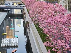 -深圳湾万象城(南山店)