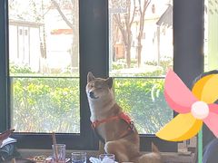 -the rug 飞毯 (朝阳公园店)