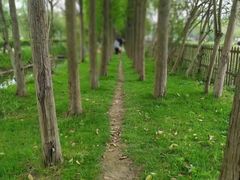 -前小桔亲子创意农场·草莓采摘·露营烧烤