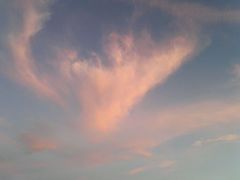 -洛阳白云山景区