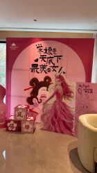 -雅荷悦来双美