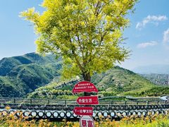 -桑干河大峡谷旅游区