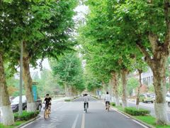 -四川大学(望江校区)