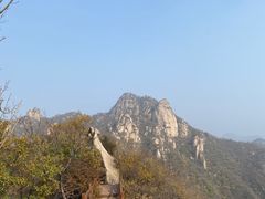 -大岭沟猕猴桃谷风景区
