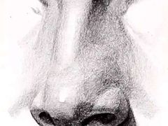 -八哥美术·成人美术画室(总校区)
