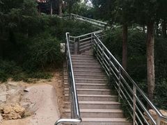 -黄村公园