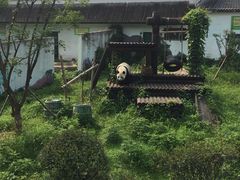 -无锡动物园·太湖欢乐园