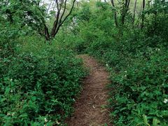 -燕晗山郊野公园