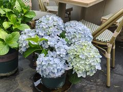 -秀儿家の小确幸花园西餐厅
