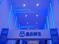 -盒马鲜生(联投广场店)