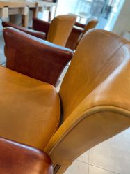 -净漪造型 PURE RIPPLE