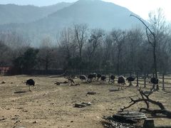 -西安秦岭野生动物园