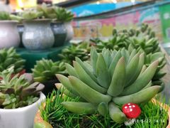 -新汇大融城