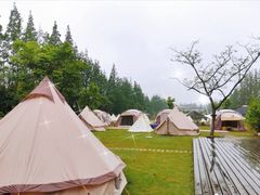 -前小桔亲子创意农场·草莓采摘·露营烧烤