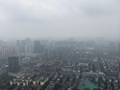 -339旋转餐厅(天府熊猫塔店)