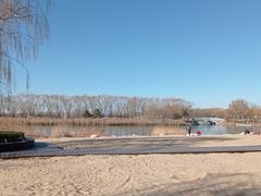 -大兴滨河森林公园