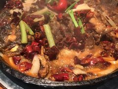 -老板恋上鱼(印象城店)