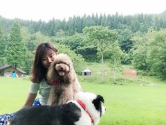 -武陵山森林公园