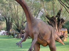 -南通洲际绿博园