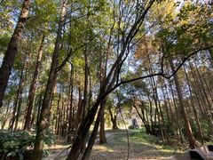 -东湖落雁景区
