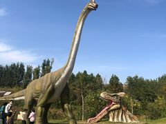 -西部长青自然儿童乐园