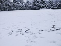 -春兰国宾馆(凤城河风景区老街店)