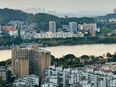 -福道