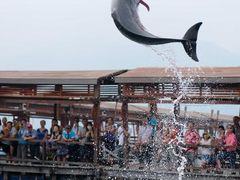 -海南分界洲岛旅游区