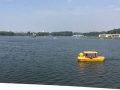 -大兴滨河森林公园