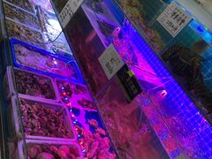 -大杰海鲜锅(基隆路店)