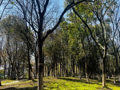 -江南大学(蠡湖校区)