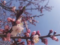 -哈尔滨师范大学(松北校区)
