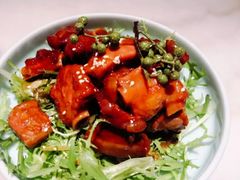 -小吊梨汤·北京菜·烤鸭(鸟巢店)