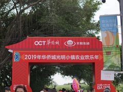 -光明小镇欢乐田园