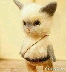 -山推幼儿园(阳光园)