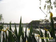 -昆山城市生态森林公园