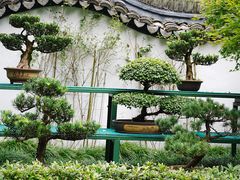 -绮园景区