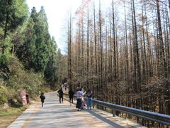 -山王坪喀斯特国家生态公园