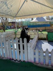 -萌宠亲子动物乐园(槐房万达店)