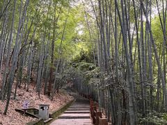 -敬亭山风景名胜区