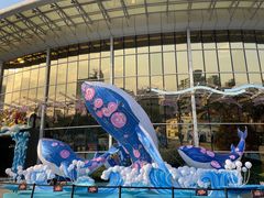 -海合安成都极地海洋公园