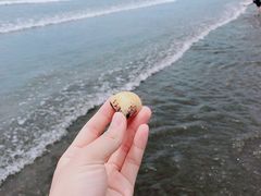 -台山黑沙湾海浴场