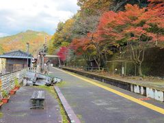 -岚山嵯峨野观光小火车
