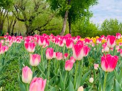 -长春公园(普阳街道)