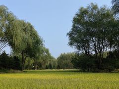 -北坞公园